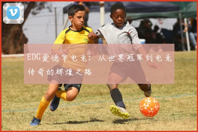 EDG爱德华电竞：从世界冠军到电竞传奇的辉煌之路